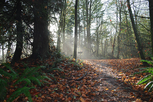 The Road Less Traveled