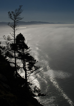 Sentinels by the Sea