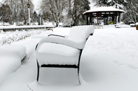 Snowy Park