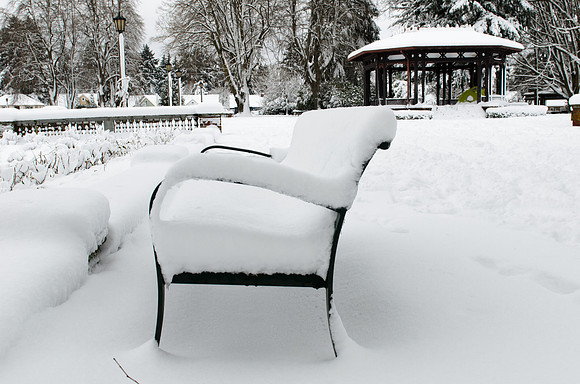 Snowy Park
