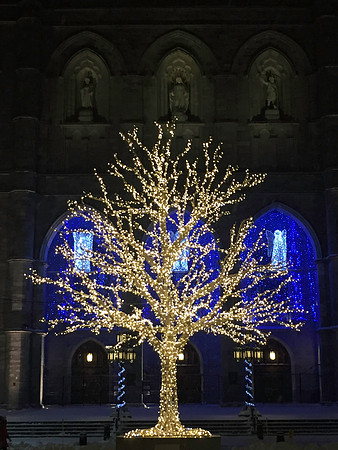 A Different Christmas Tree