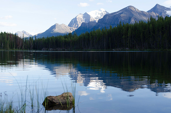 Stillness