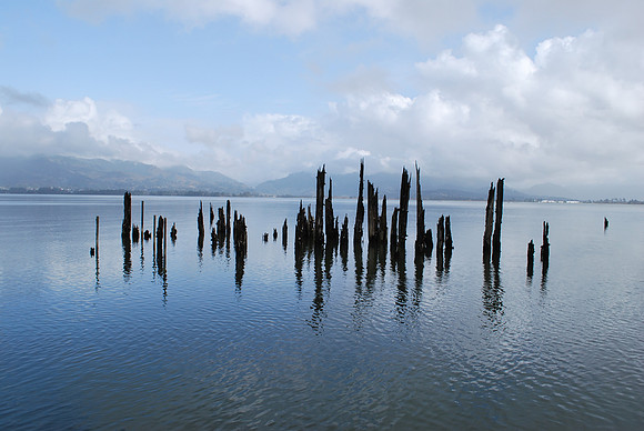 Dock remnant
