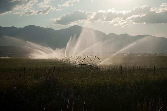 Wallowa Field
